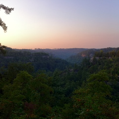 Auxier Ridge, a year after the fire